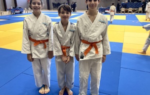 Coupe benjamins (es)