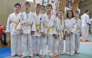 Les 8/10 ans du Dojo