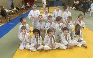 Les 7/8 ans du Dojo